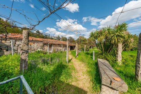 Farm i Lordelo, Braga, Lordelo - € 390.000 | Ref: CM-059 - foto 32