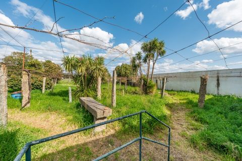 Farm i Lordelo, Braga, Lordelo - € 390.000 | Ref: CM-059 - foto 33