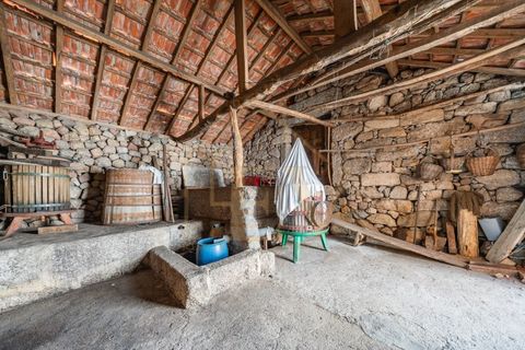 Farm i Lordelo, Braga, Lordelo - € 390.000 | Ref: CM-059 - foto 34