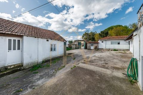 Farm i Lordelo, Braga, Lordelo - € 390.000 | Ref: CM-059 - foto 38