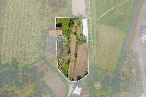 Farm i Lordelo, Braga, Lordelo - € 390.000 | Ref: CM-059 - foto 40