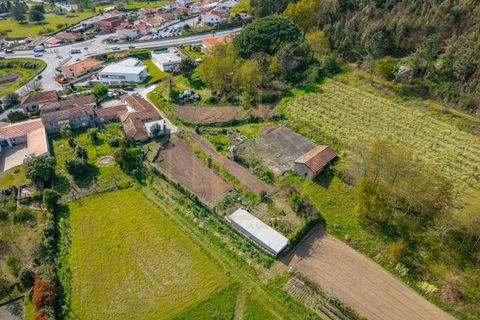 Farm i Lordelo, Braga, Lordelo - € 390.000 | Ref: CM-059 - foto 42