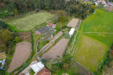 Farm i Lordelo, Braga, Lordelo - € 390.000 | Ref: CM-059 - foto 43