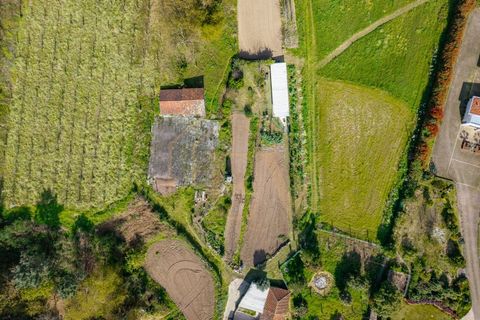 Farm i Lordelo, Braga, Lordelo - € 390.000 | Ref: CM-059 - foto 45