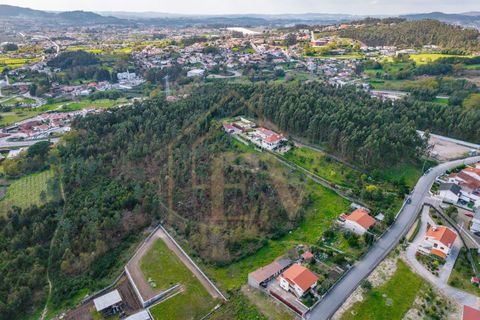 Farm i Lordelo, Braga, Lordelo - € 390.000 | Ref: CM-059 - foto 46