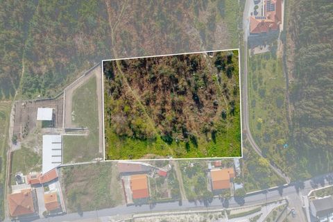 Farm i Lordelo, Braga, Lordelo - € 390.000 | Ref: CM-059 - foto 47