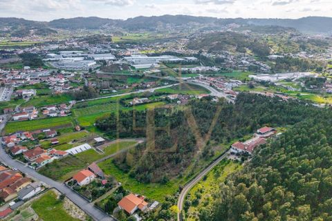 Farm i Lordelo, Braga, Lordelo - € 390.000 | Ref: CM-059 - foto 48