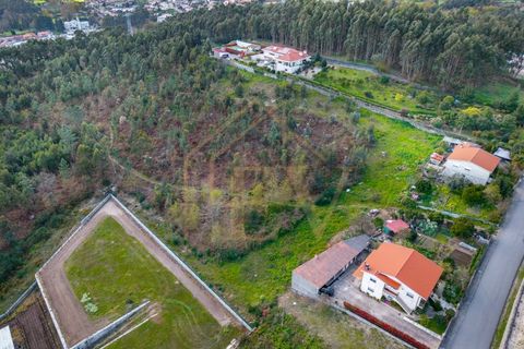 Farm i Lordelo, Braga, Lordelo - € 390.000 | Ref: CM-059 - foto 49