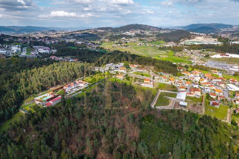 Farm i Lordelo, Braga, Lordelo - € 390.000 | Ref: CM-059 - foto 50