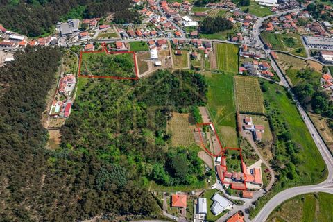 Farm i Lordelo, Braga, Lordelo - € 390.000 | Ref: CM-059 - foto 2