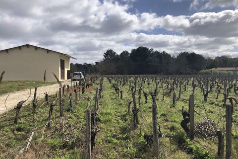 Helårsgrund i Queyrac, Gironde, Queyrac - € 139.000 | Ref: 12176DH1301 - foto 2