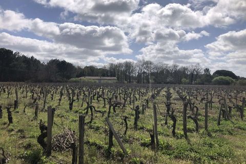 Helårsgrund i Queyrac, Gironde, Queyrac - € 139.000 | Ref: 12176DH1301 - foto 3
