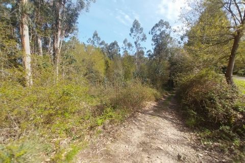Helårsgrund i Moncao, Viana do Castelo, Moncao - € 36.500 | Ref: RECH-0012/12758 - foto 6