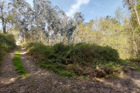 Helårsgrund i Moncao, Viana do Castelo, Moncao - € 36.500 | Ref: RECH-0012/12758 - foto 7