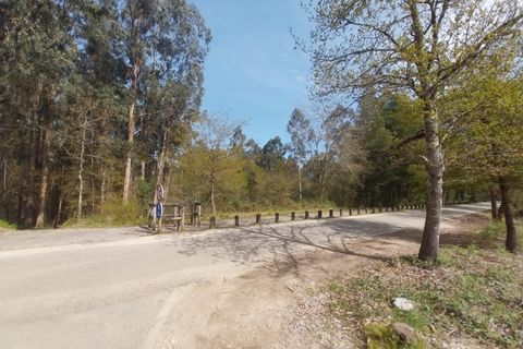 Helårsgrund i Moncao, Viana do Castelo, Moncao - € 36.500 | Ref: RECH-0012/12758 - foto 8