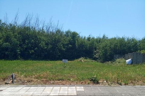 Tomt i Santa Comba Dao, Viseu, Santa Comba Dao - € 85 000 | Ref: ATRE-00144/12758 - foto 2