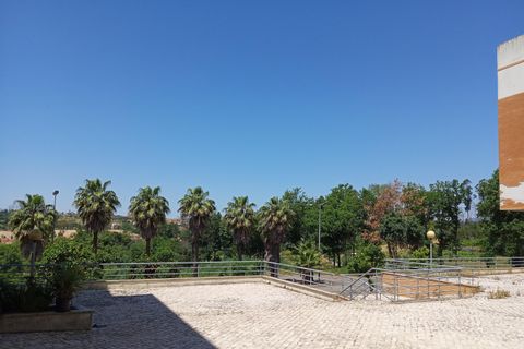 Tomt i Santa Comba Dao, Viseu, Santa Comba Dao - € 85 000 | Ref: ATRE-00144/12758 - foto 3