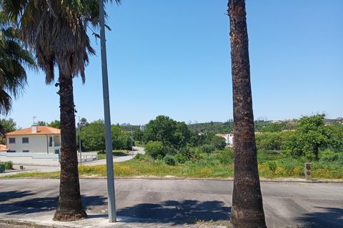 Tomt i Santa Comba Dao, Viseu, Santa Comba Dao - € 85 000 | Ref: ATRE-00144/12758 - foto 7