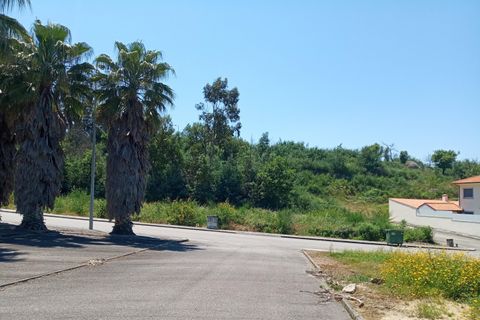 Tomt i Santa Comba Dao, Viseu, Santa Comba Dao - € 85 000 | Ref: ATRE-00144/12758 - foto 8