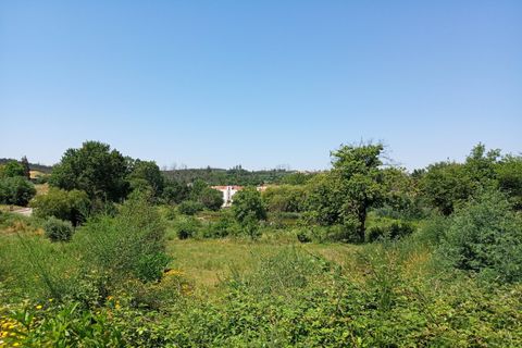 Tomt i Santa Comba Dao, Viseu, Santa Comba Dao - € 85 000 | Ref: ATRE-00144/12758 - foto 9