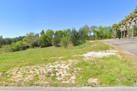 Tomt i Santa Comba Dao, Viseu, Santa Comba Dao - € 85 000 | Ref: ATRE-00144/12758 - foto 10