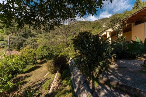 Finca i Ojen, Malaga, Ojen - € 389 000 | Ref: R5351083 - foto 33