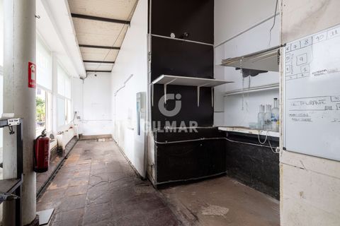 Erhvervsejendom i Marbella, Malaga, Marbella - € 4.800.000 | Ref: 213970 - foto 30