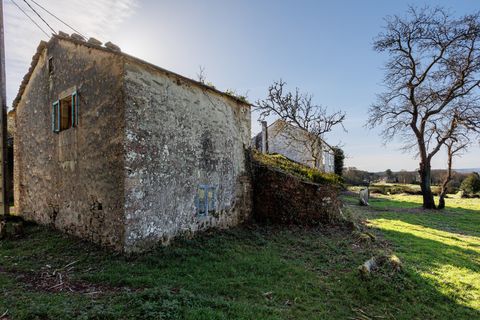 Landejendom i Vilalba, Lugo, Vilalba - € 35.000 | Ref: 2494 - foto 19
