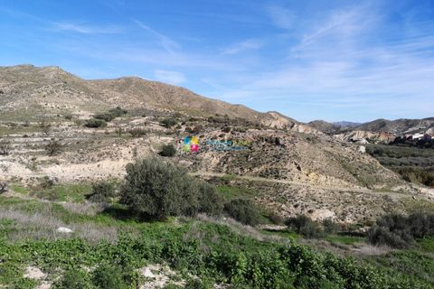 Landejendom i Arboleas, Almeria, Arboleas - € 93.000 | Ref: 1136 - foto 23
