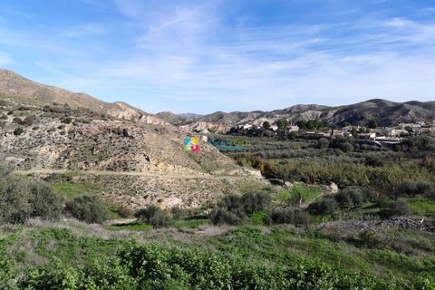 Landejendom i Arboleas, Almeria, Arboleas - € 93.000 | Ref: 1136 - foto 24