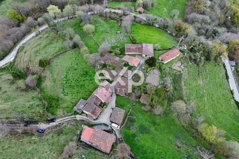 Landejendom i Riosa, Asturias, Riosa - € 149.000 | Ref: EXP13877/8930 - foto 36