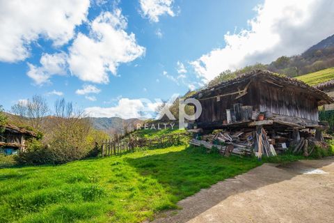 Landejendom i Riosa, Asturias, Riosa - € 149.000 | Ref: EXP13877/8930 - foto 38