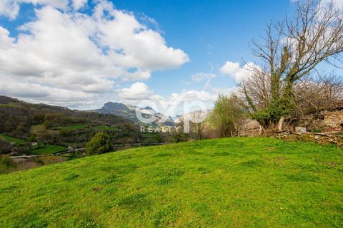 Landejendom i Riosa, Asturias, Riosa - € 149.000 | Ref: EXP13877/8930 - foto 39