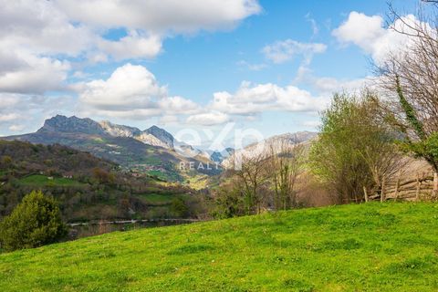 Landejendom i Riosa, Asturias, Riosa - € 149.000 | Ref: EXP13877/8930 - foto 40