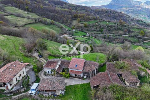 Landejendom i Riosa, Asturias, Riosa - € 149.000 | Ref: EXP13877/8930 - foto 42