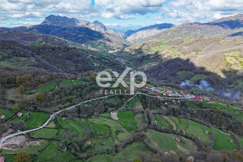 Landejendom i Riosa, Asturias, Riosa - € 149.000 | Ref: EXP13877/8930 - foto 44