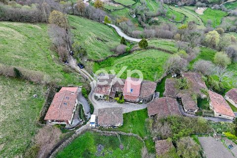 Landejendom i Riosa, Asturias, Riosa - € 149.000 | Ref: EXP13877/8930 - foto 47