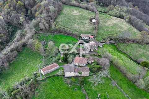 Landejendom i Riosa, Asturias, Riosa - € 149.000 | Ref: EXP13877/8930 - foto 49