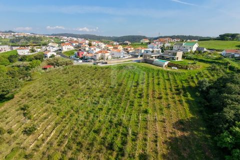 Villa a Ericeira, Lisbon, Ericeira - € 1.690.000 | Ref: V26103 - foto 48