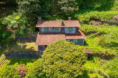 Helårsgrund i Santana, Madeira, Santana - € 500.000 | Ref: MOBRIEN-10908 - foto 2