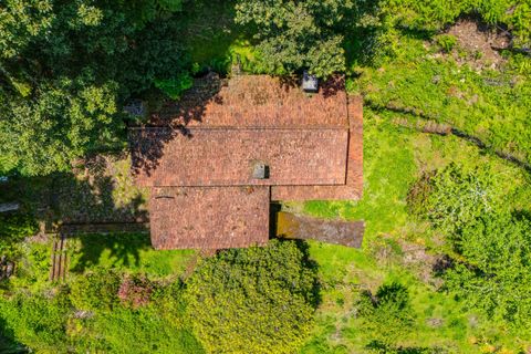 Helårsgrund i Santana, Madeira, Santana - € 500.000 | Ref: MOBRIEN-10908 - foto 3