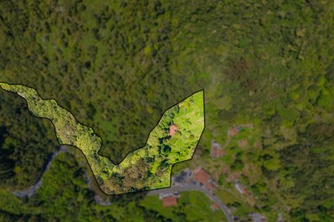 Helårsgrund i Santana, Madeira, Santana - € 500.000 | Ref: MOBRIEN-10908 - foto 4