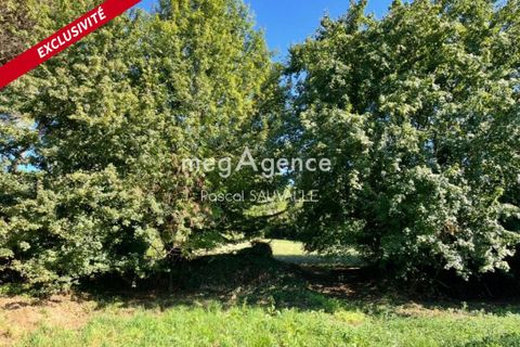 Terra a Queyssac, Dordogne, Queyssac - € 44.000 | Ref: 189671 - foto 3