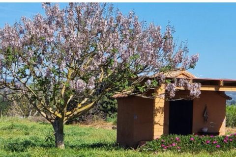 Finca i Ginestar, Tarragona, Ginestar - € 17.000 | Ref: Gh - foto 6