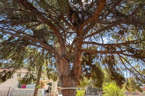 Villa i Elche, Alicante, Elche - € 332.000 | Ref: 55557/388 - foto 11