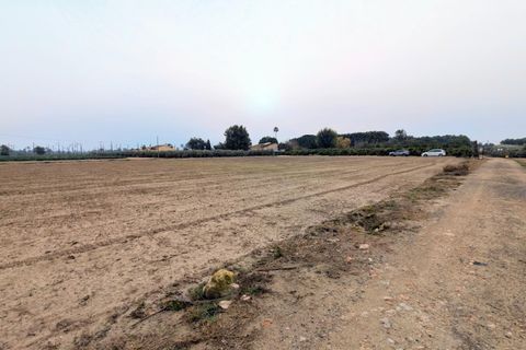 Landejendom i Algoda, Alicante, Algoda - € 350.000 | Ref: 99663/388 - foto 14