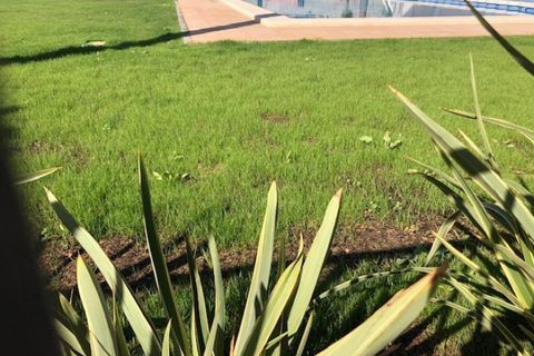 Lejlighed i Elche, Alicante, Elche - € 270.000 | Ref: 66989/388 - foto 20