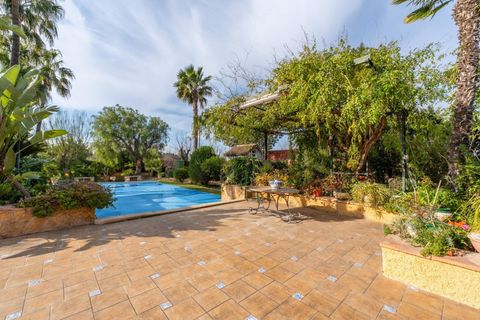 Villa em Elche, Alicante, Elche - € 980.000 | Ref: 8745/388 - foto 6