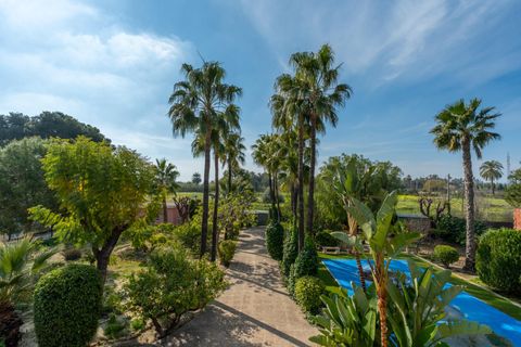 Villa em Elche, Alicante, Elche - € 980.000 | Ref: 8745/388 - foto 17