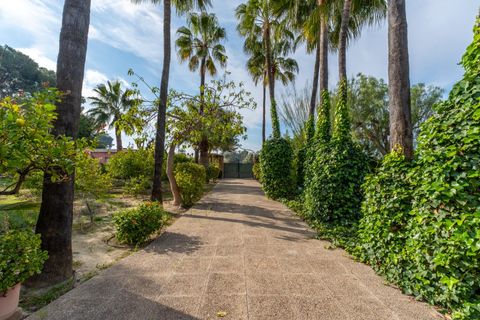 Villa em Elche, Alicante, Elche - € 980.000 | Ref: 8745/388 - foto 27